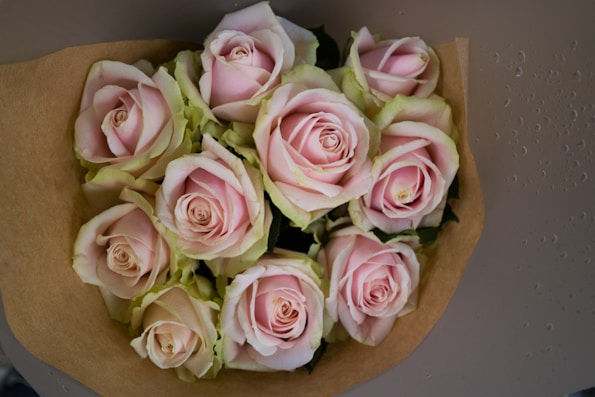 Soft Pink Rose Bouquet